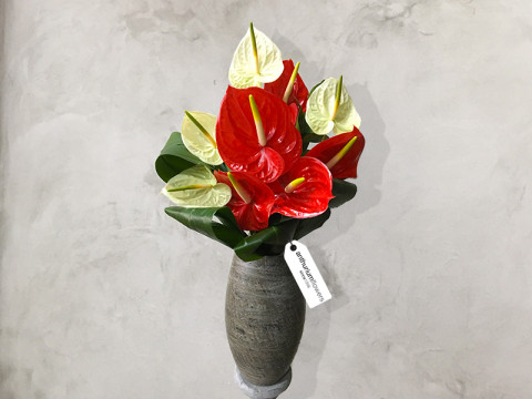Buchet 9 Anthurium 